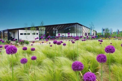 New Glory Holiday Inn