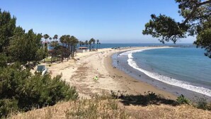 Una spiaggia con cieli tersi, palme e una riva sabbiosa.