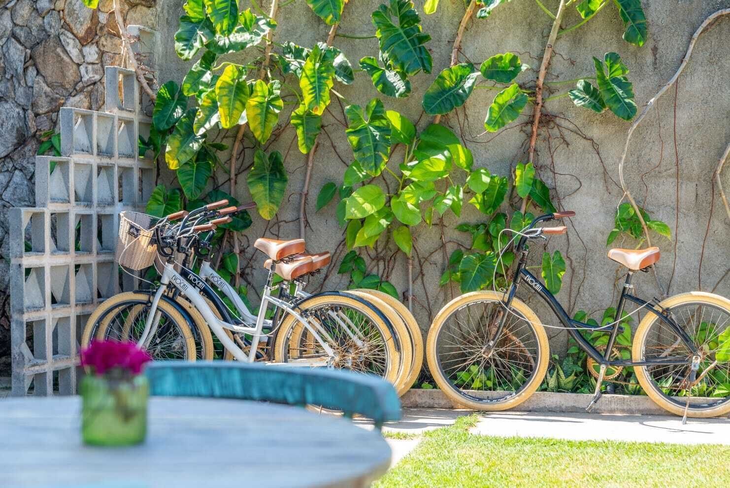 Een tuin met een stenen muur, een houten pergola en drie fietsen met rieten manden.