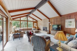 TV, fireplace, books