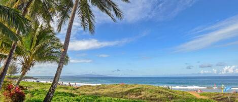 On the beach, sun-loungers, beach towels