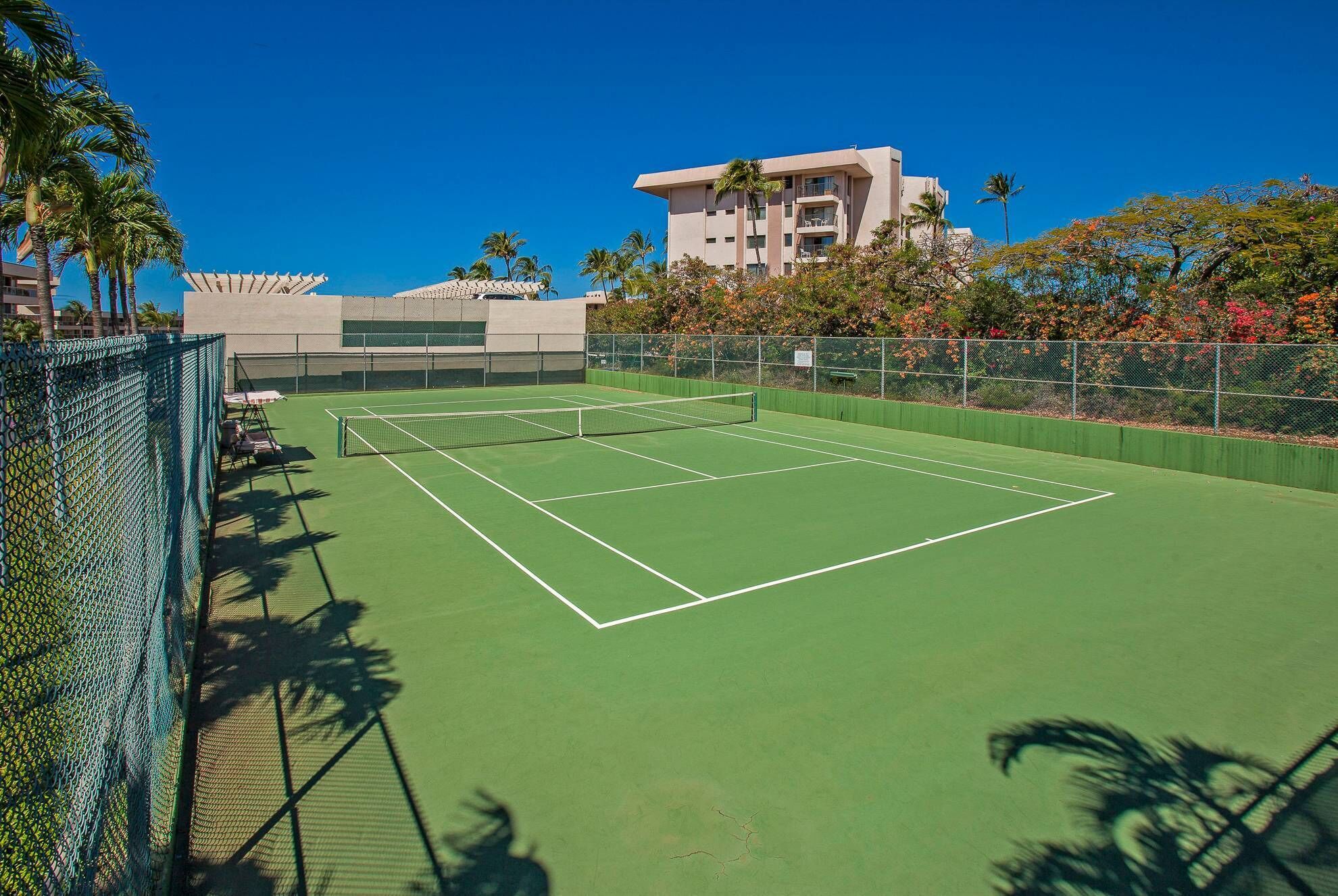 A tennis court with a net, surrounded by a fence and palm trees.