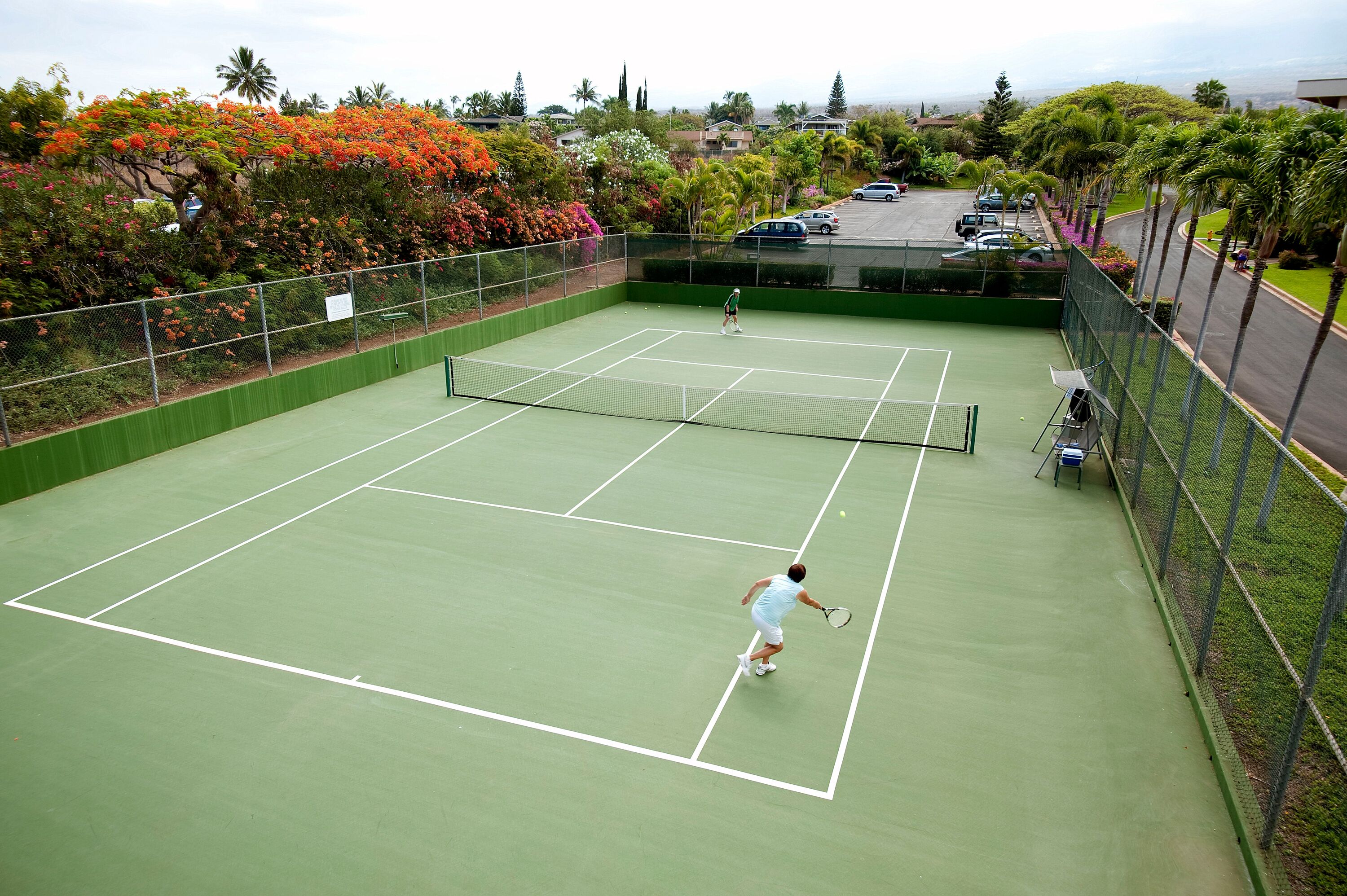 Een tennisbaan met een net, omringd door een hek en weelderige begroeiing.
