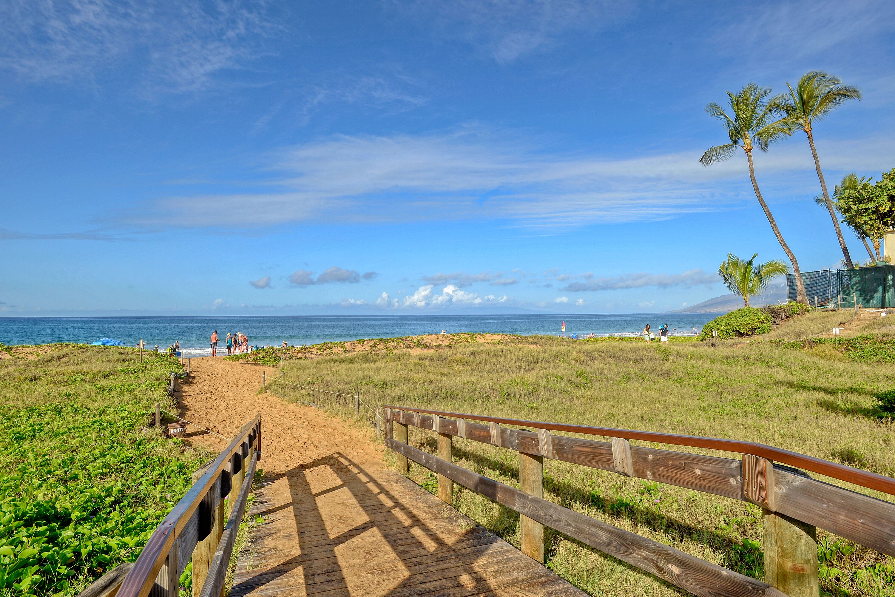 A wooden boardwalk leading to a beach with a clear view of the ocean and palm trees.