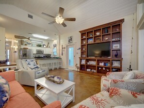 Smart TV, fireplace, books