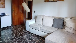 A living room with a white sofa, a grey pillow, and a patterned rug. There is a wooden door and a wall with two paintings.