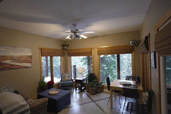 Smart TV, fireplace, books