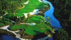 Un campo de golf con un cuerpo de agua, árboles y un puente.