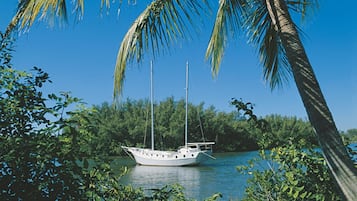 A white boat anchored near a palm tree by a calm body of water, surrounded by lush greenery.