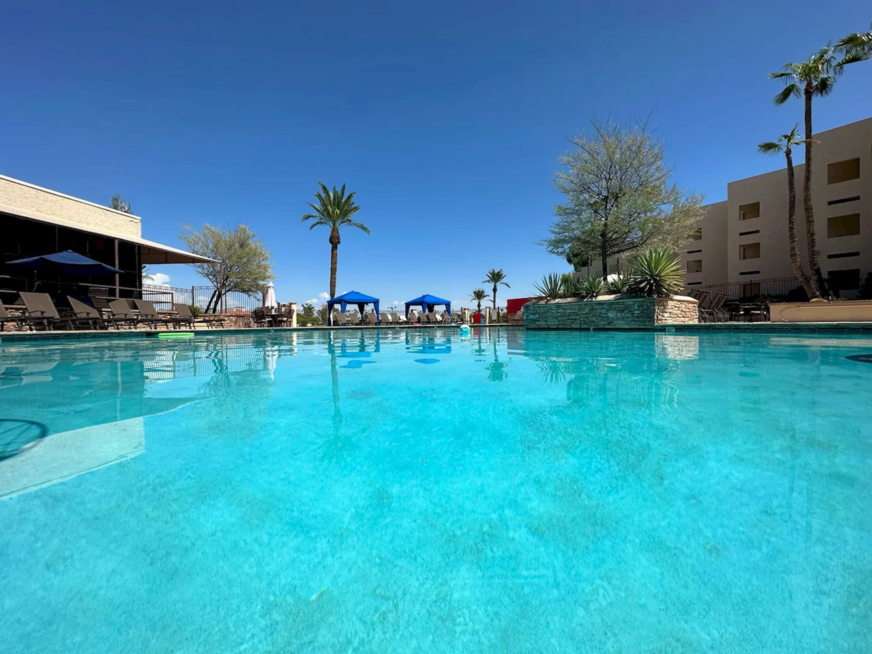 A clear blue pool with lounge chairs and umbrellas, surrounded by palm trees and a building with multiple windows.