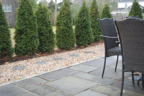 renovated 2 bedroom cozy apartment