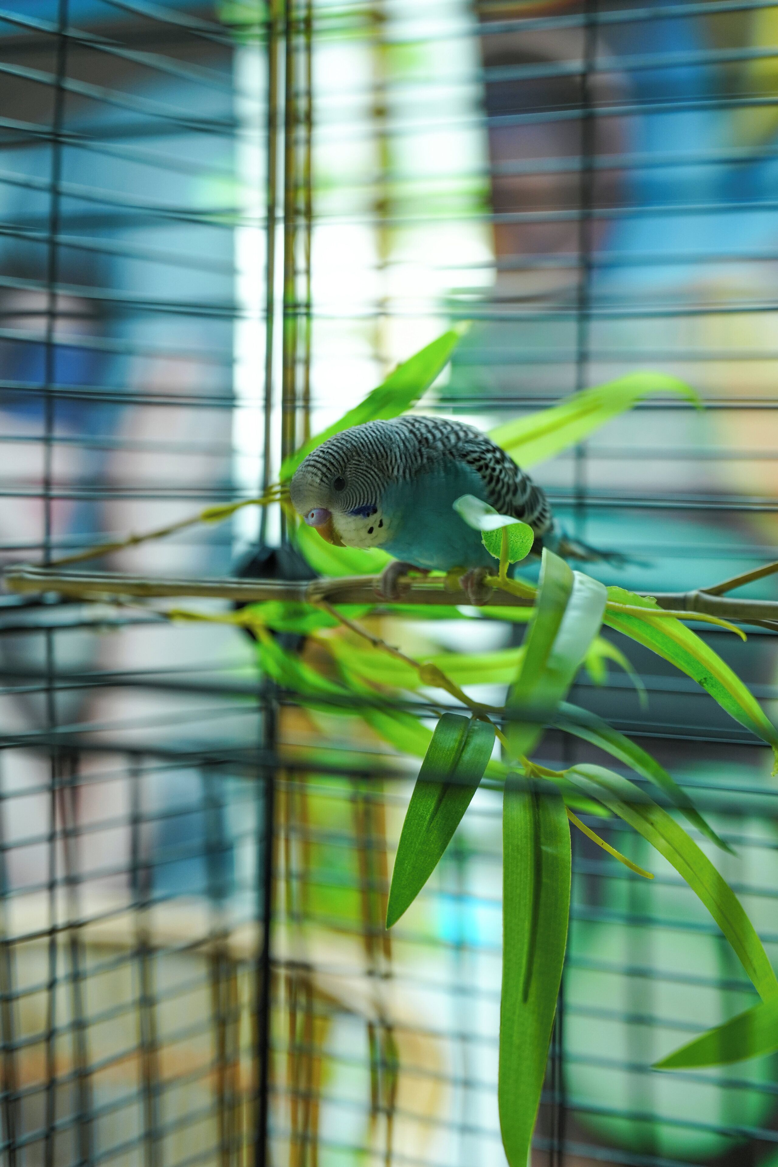 Photo - EVEN Hotel Chengdu Jinniu by IHG