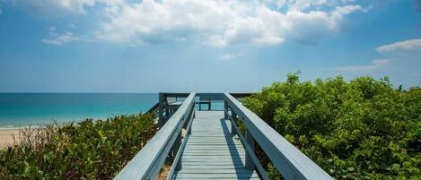 Nær stranden, solsenger og strandhåndklær