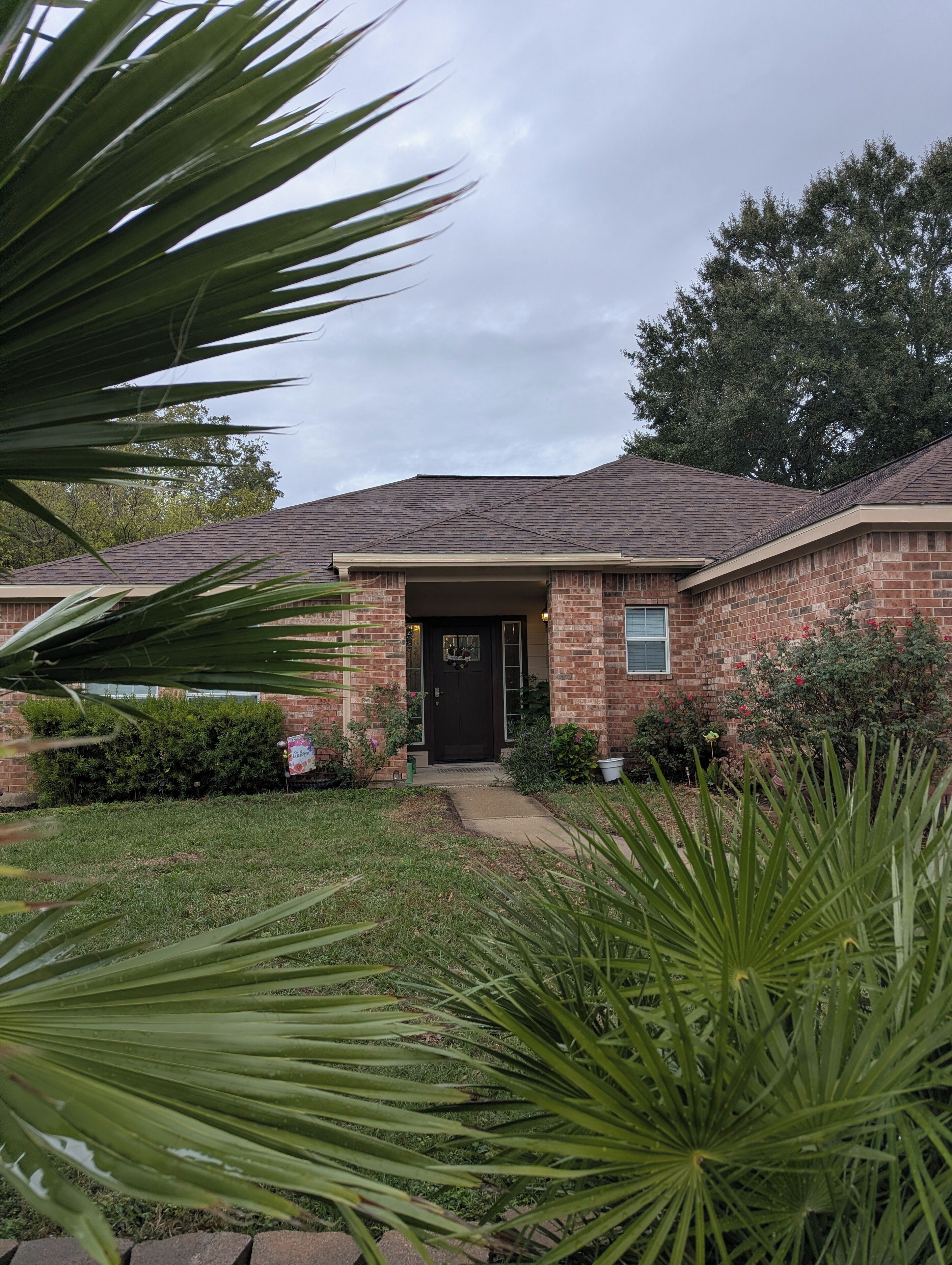 A brick house with a front porch, a black door, and a small garden with various plants.