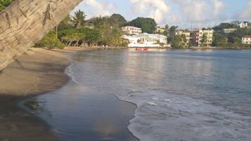 A beach with a boat, palm trees, and buildings in the background.