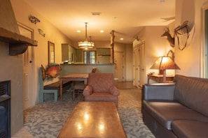 TV, fireplace, video games, DVD player