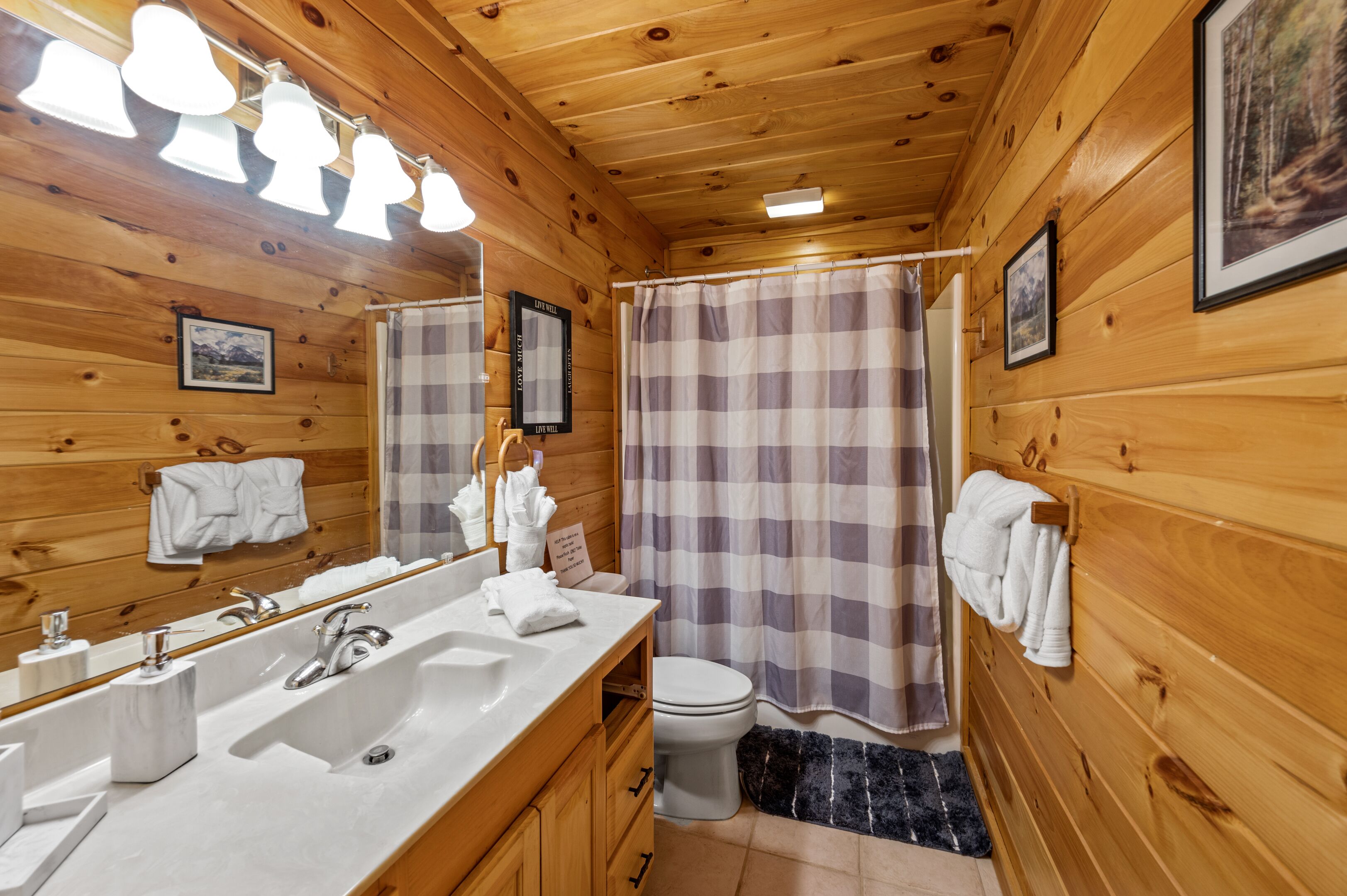 Een houten badkamer in een vakantiehuisje, met een wastafel, toilet en douchegordijn.