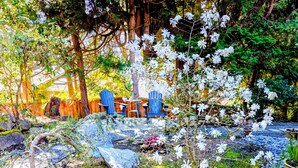 A garden with a seating area, a small tree, and a wooden fence. - Modern Hillhouse with Lake Washington Views (Kirkland)