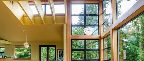 Smart TV, caminetto, libri, impianto stereo