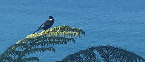 Un pájaro posado en una rama de helecho.