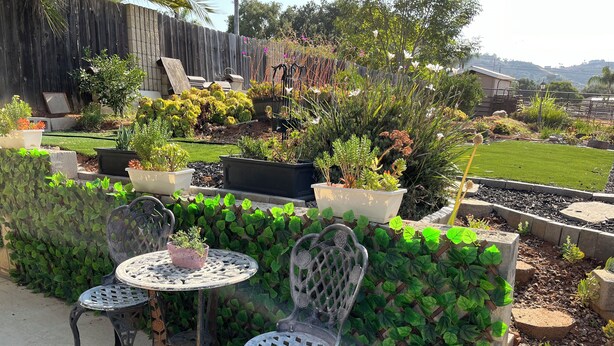 Une terrasse de jardin avec deux chaises en métal et une table, entourée d’une végétation luxuriante et de diverses plantes en pot.