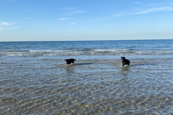 På stranden och solstolar