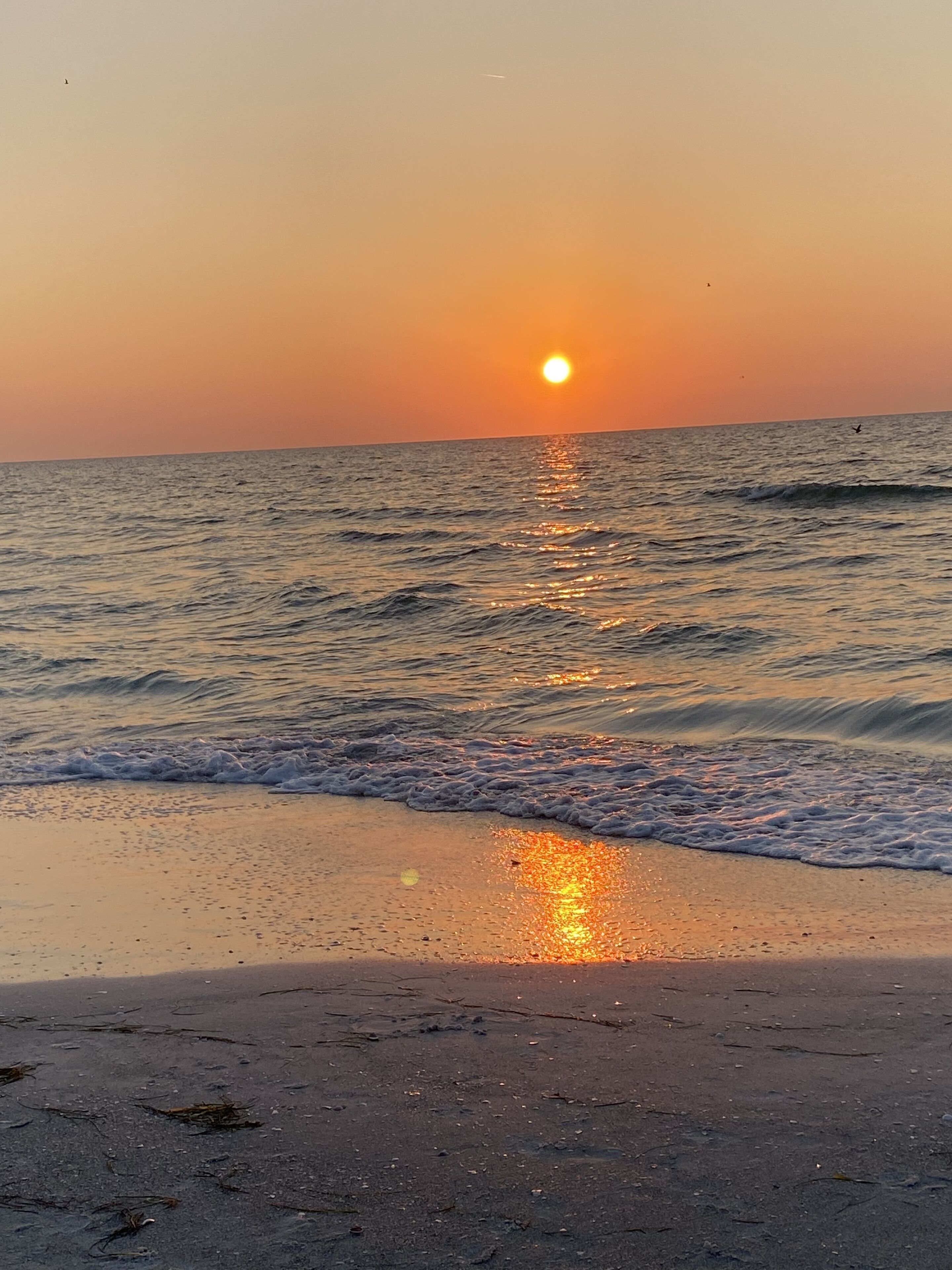 In Strandnähe, Liegestühle, Strandtücher