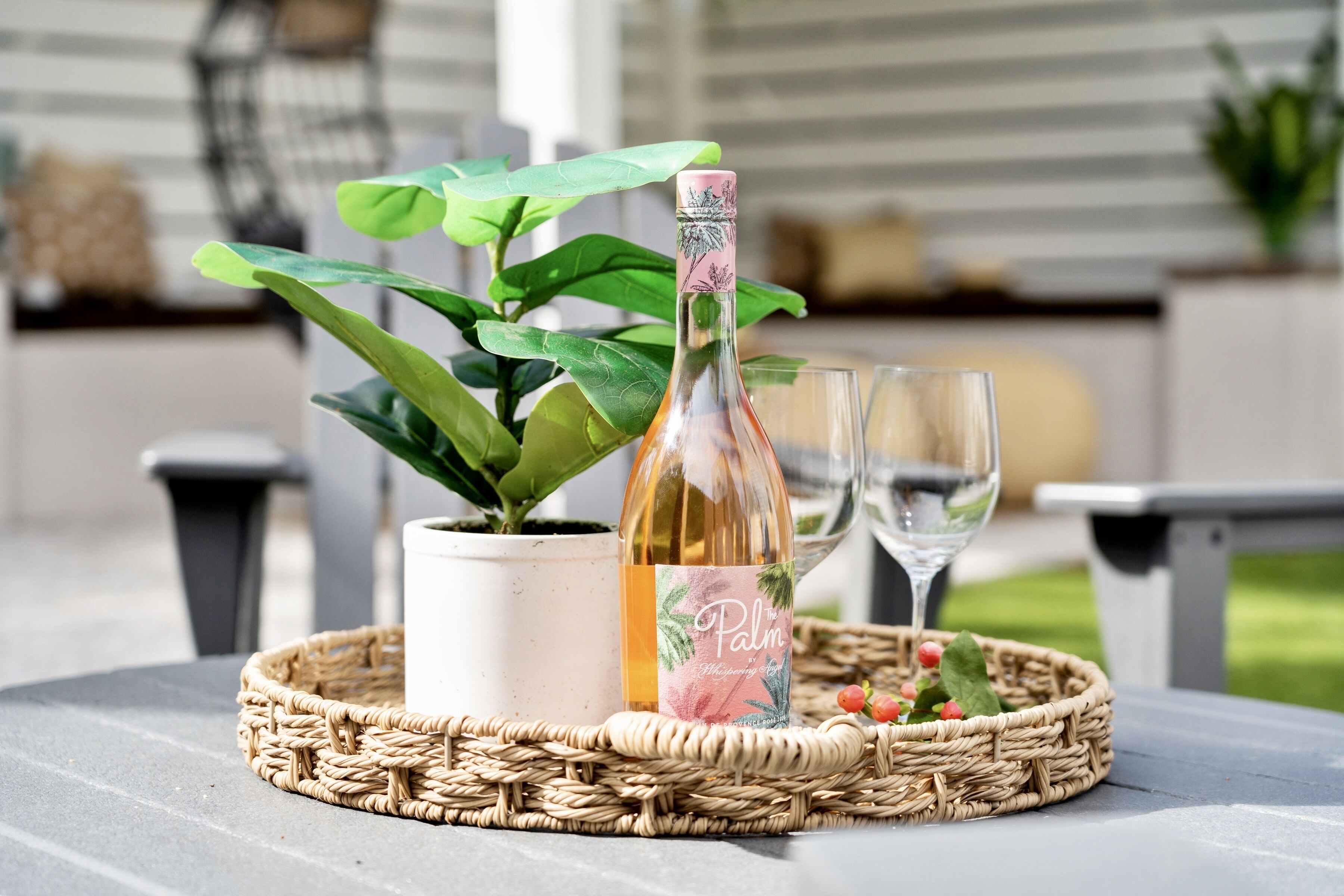 Une bouteille de vin posée sur un plateau en osier, avec une plante en pot à côté.