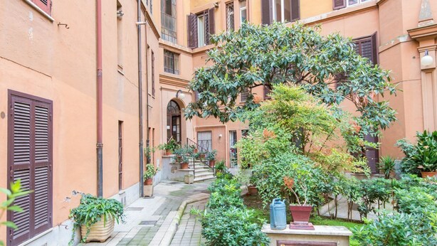 Ein schmaler Innenhof mit einem Baum in der Mitte, Topfpflanzen und einem kleinen Garten.
