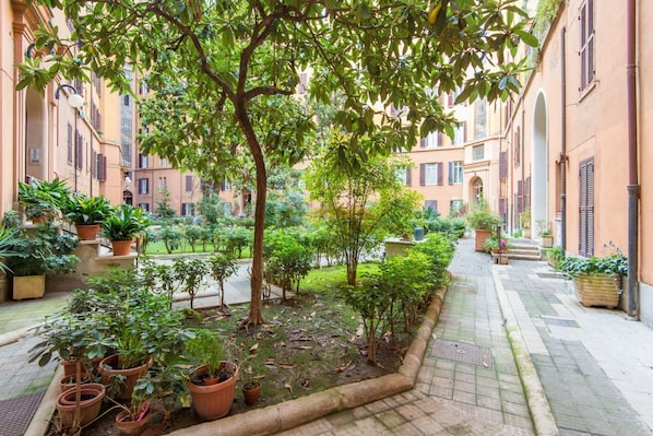 A courtyard with potted plants, a tree, and a pathway between buildings.