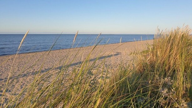 Une plage de sable avec de hautes herbes au premier plan, et un ciel bleu clair en arrière-plan.