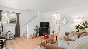 Smart-TV, Kamin