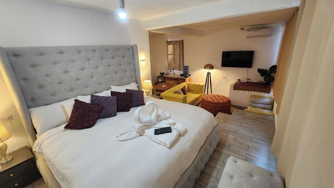 A hotel room with a large bed, a desk, a chair, a TV, and a small table with a plant.