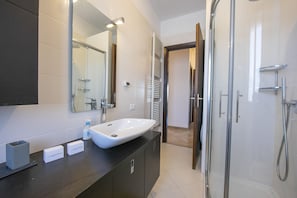 Shower, hair dryer, bidet, towels