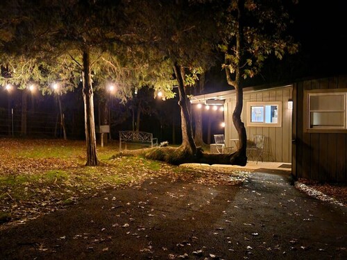 ~The Meadow~ Tiny house short walk to Lake Athens