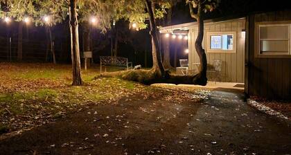 ~The Meadow~ Tiny house short walk to Lake Athens