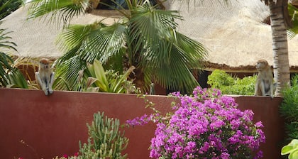 Very pretty villa, exotic garden, swimming pool, quiet residence, close to the ocean.