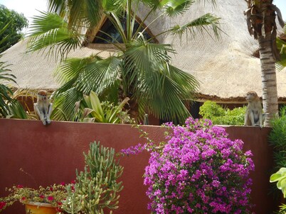 Very pretty villa, exotic garden, swimming pool, quiet residence, close to the ocean.