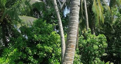The Rose Garden House in Hithadhoo, Addu City, Maldives