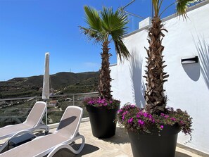 Terrasse/gårdhave