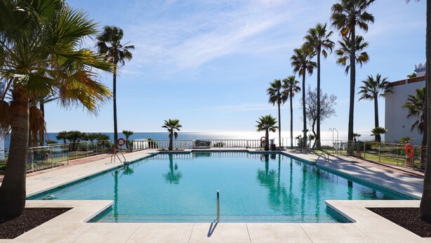 A swimming pool surrounded by palm trees, with a view of the ocean.