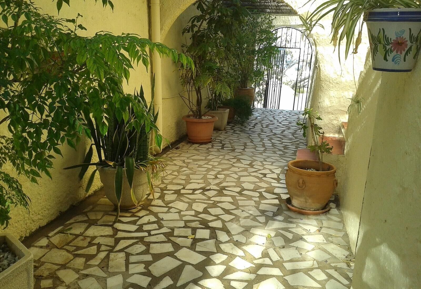 A narrow corridor with tiled flooring and potted plants.