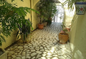 A narrow corridor with tiled flooring and potted plants.