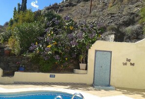 A swimming pool with a tiled edge, a stone wall, and a door with butterfly decorations.