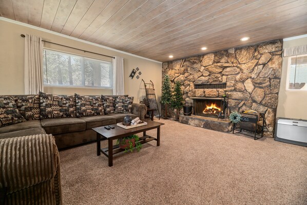 Televisión, chimenea y reproductor de DVD