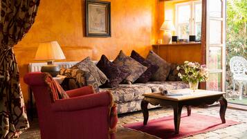 TV connectée, cheminée, lecteur de DVD, livres