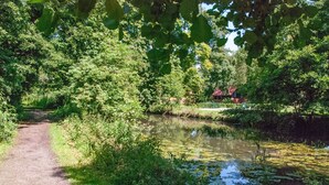 Een vredig pad langs de rivier, omringd door weelderige begroeiing en een kalm wateroppervlak.
