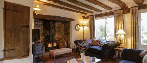 Smart TV, fireplace, DVD player, books