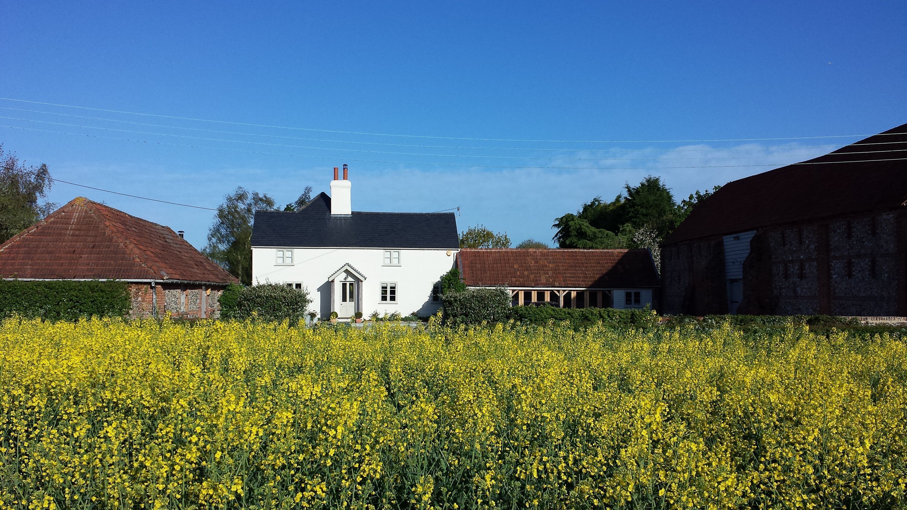 A white house with a black roof, surrounded by fields of yellow flowers.