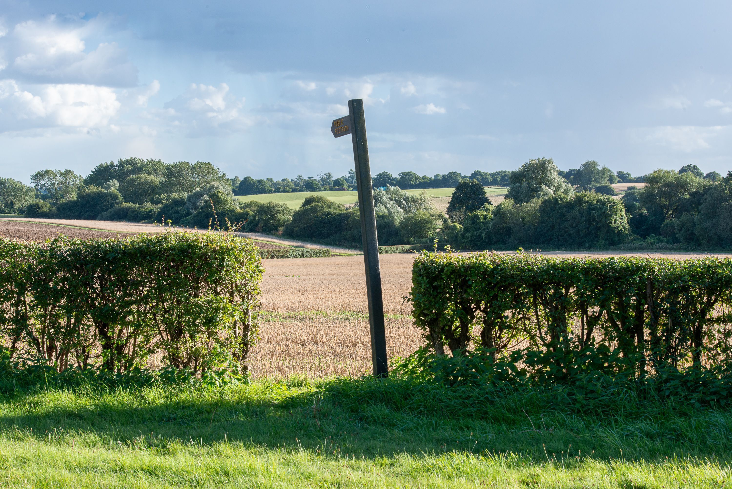 A rural landscape with a wooden signpost in the foreground, surrounded by lush greenery and fields.